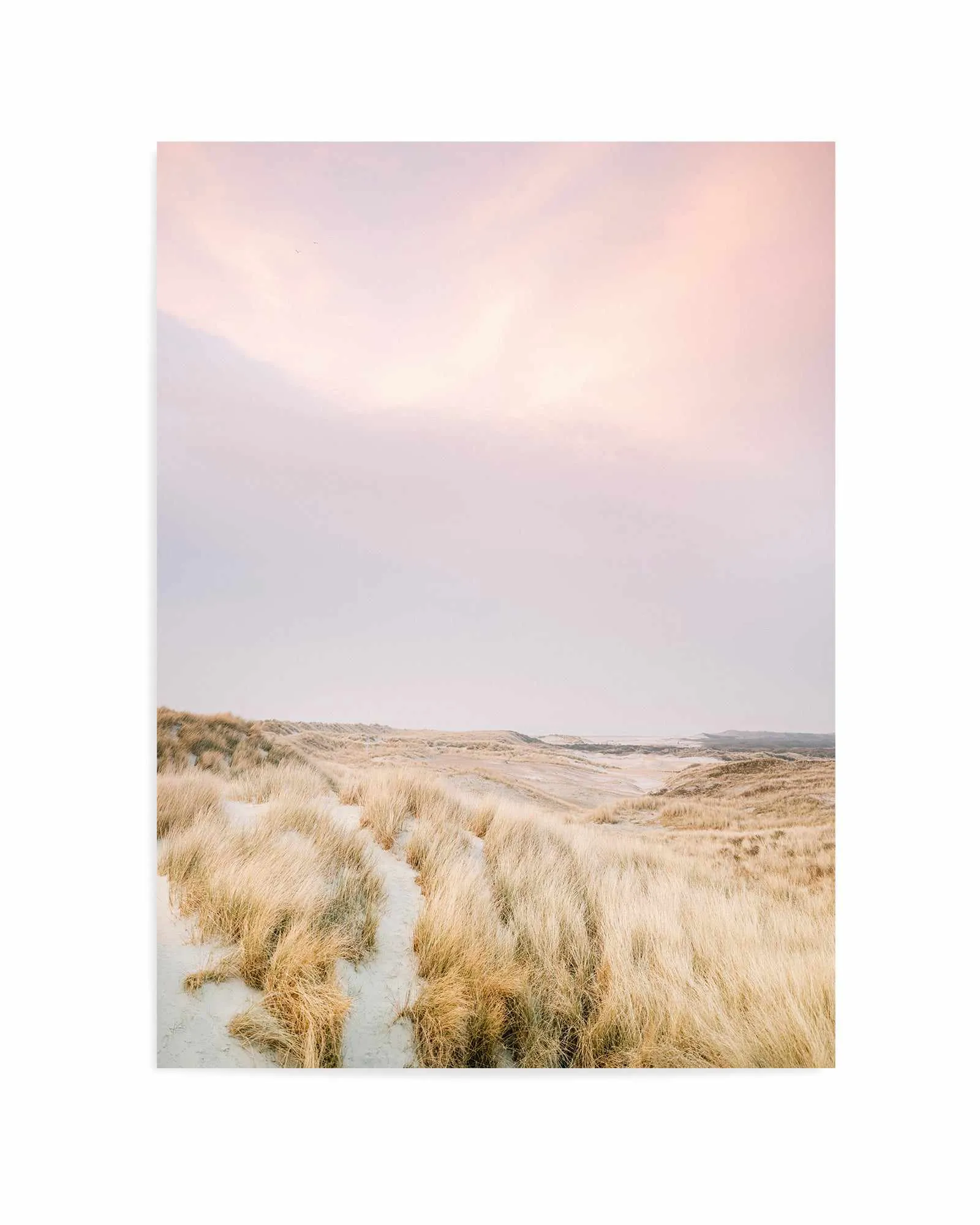 Ameland Dunes 1 By Raisa Zwart | Art Print