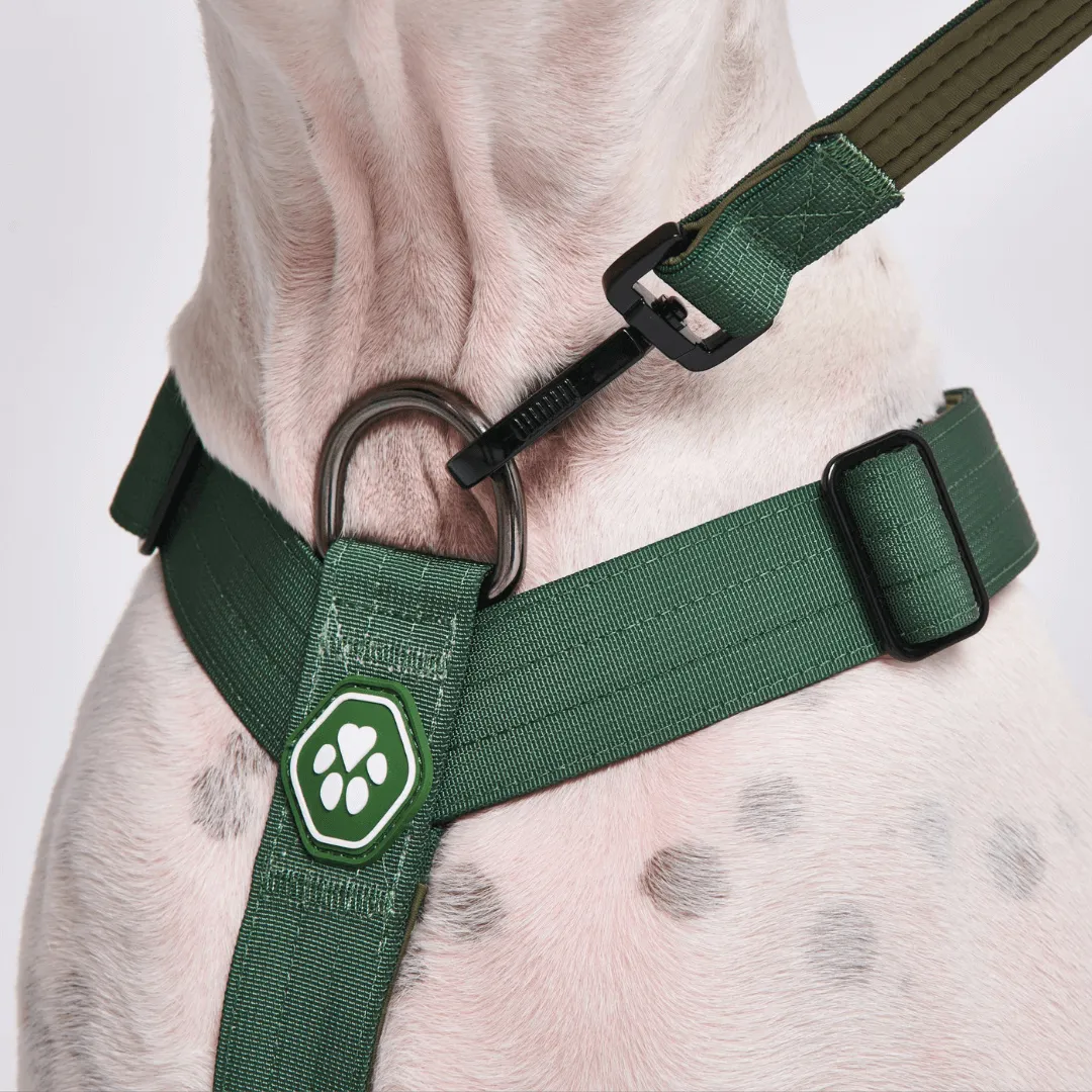 Comfort Control No-Pull Dog Harness - Green