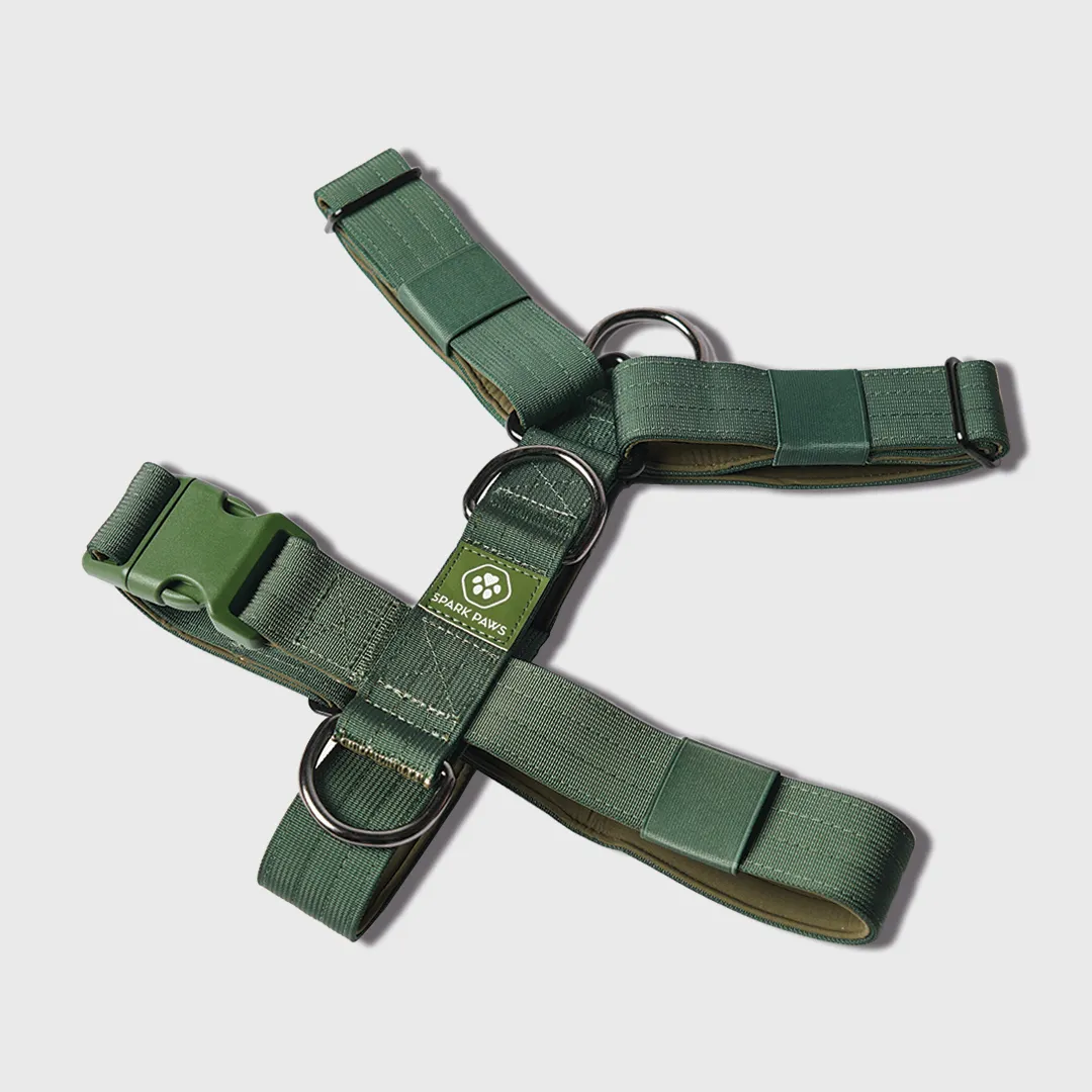 Comfort Control No-Pull Dog Harness - Green