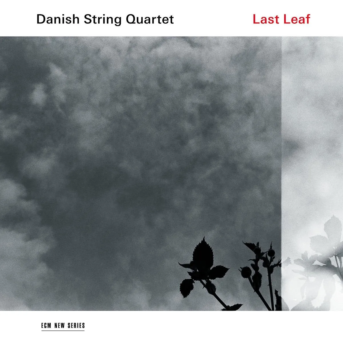 Danish String Quartet - Last Leaf - Vinyle