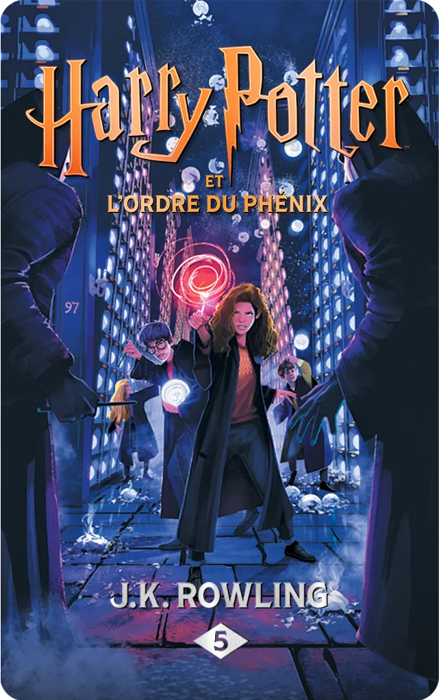 Harry Potter : livres 4 à 7