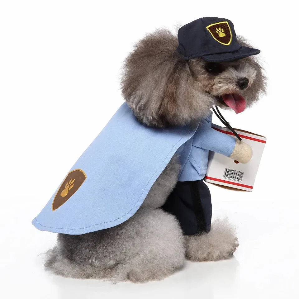 Mail Carrier Costume