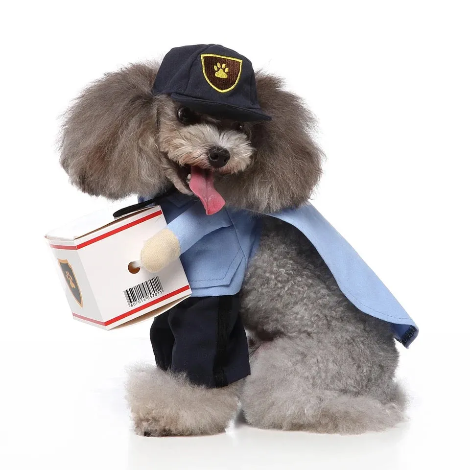 Mail Carrier Costume