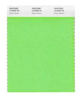 Pantone Nylon Brights Swatch Card 13-0340 TCX (Green Gecko)