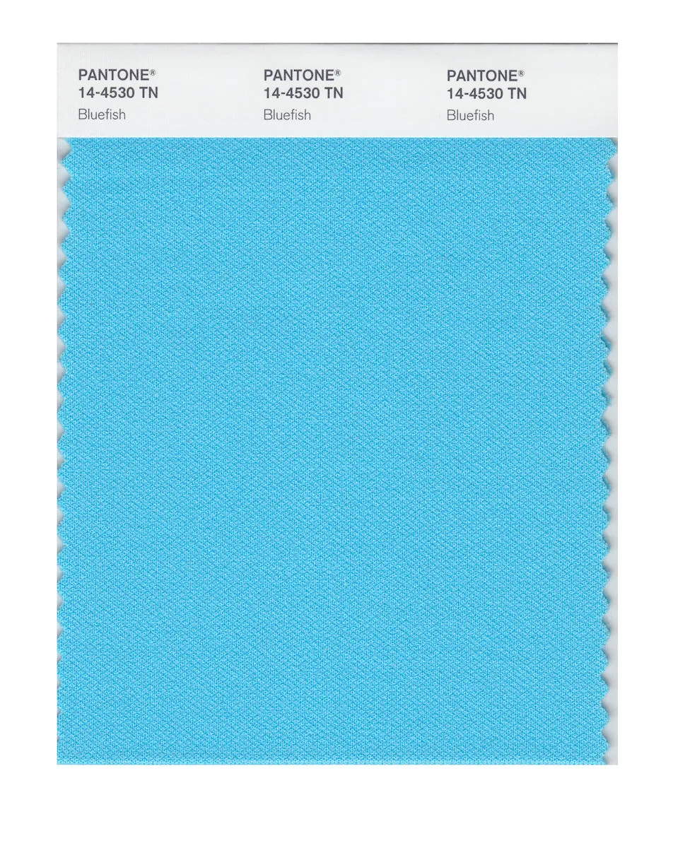 Pantone Nylon Brights Swatch Card 14-4530 TCX (Bluefish)