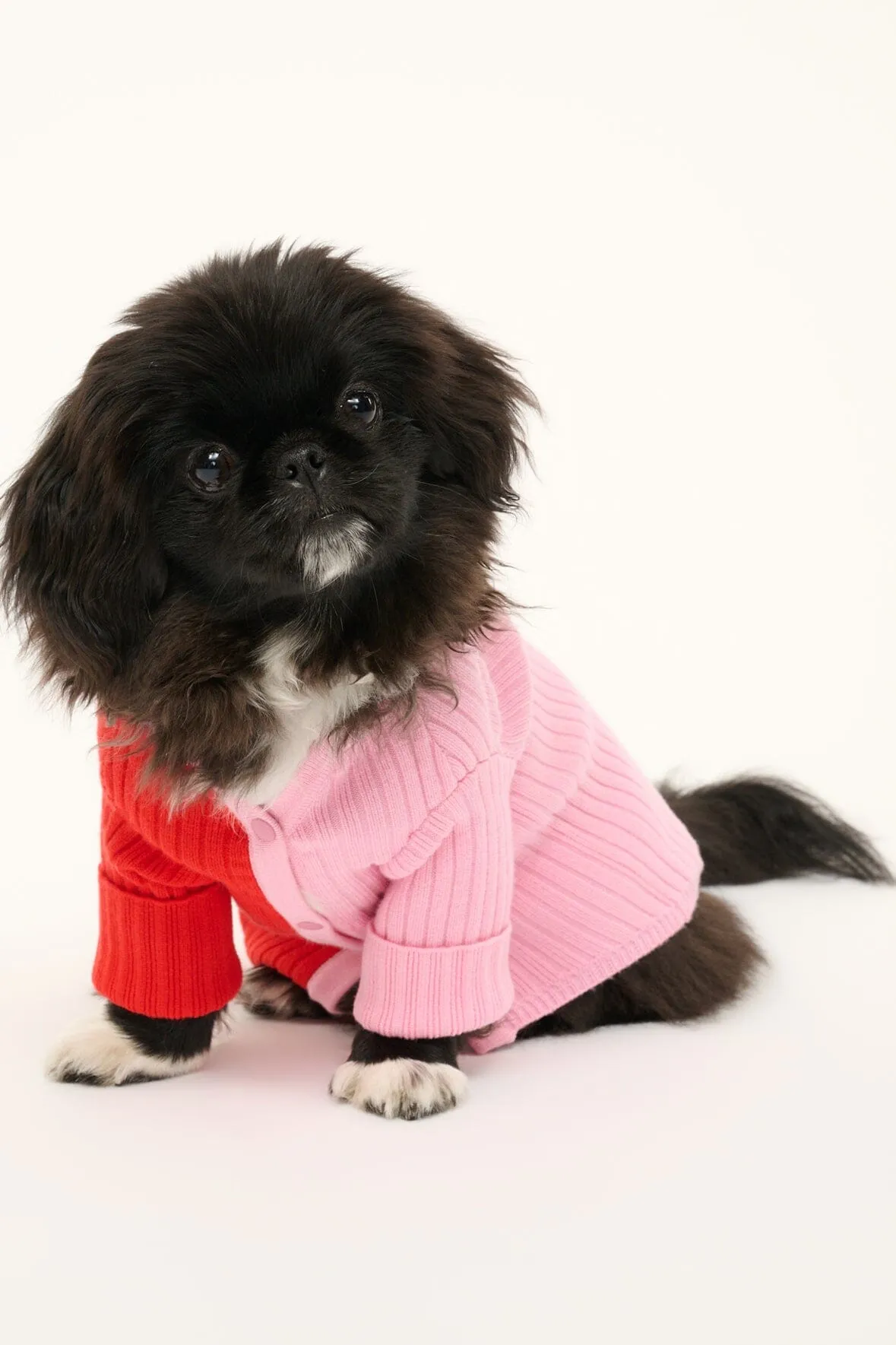 PET SHOKO SWEATER | POPPY ROSEBUD