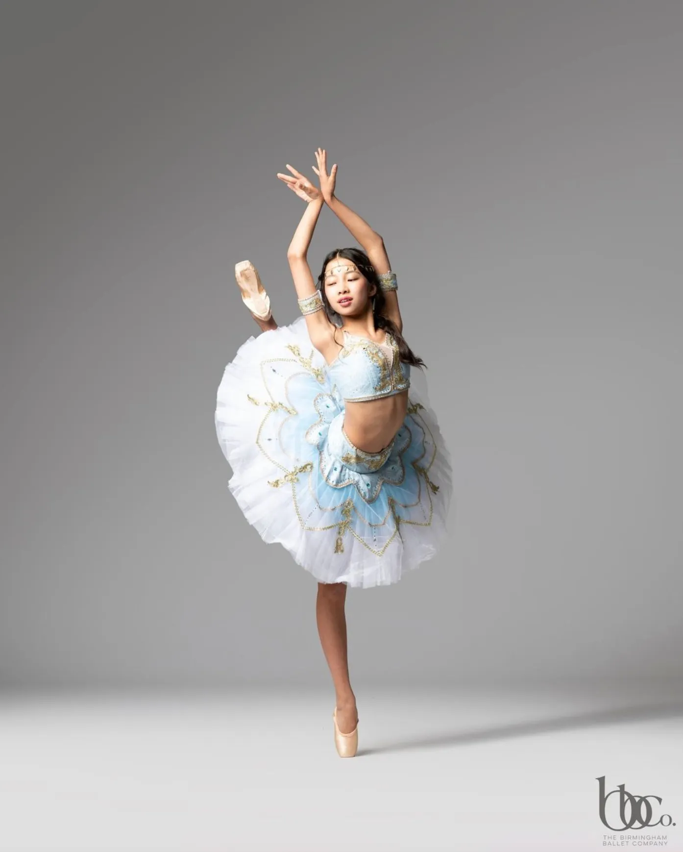 Professional two piece light blue tutu - Hire only