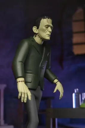 Toony Terrors: Series 10: Universal Monsters: Frankenstein's Monster